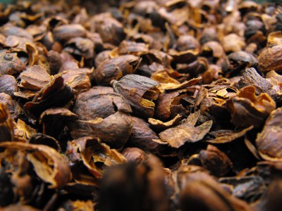 cascara_kostaryka