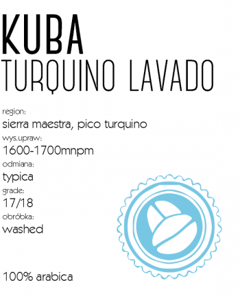 Kuba Turquino Lavado